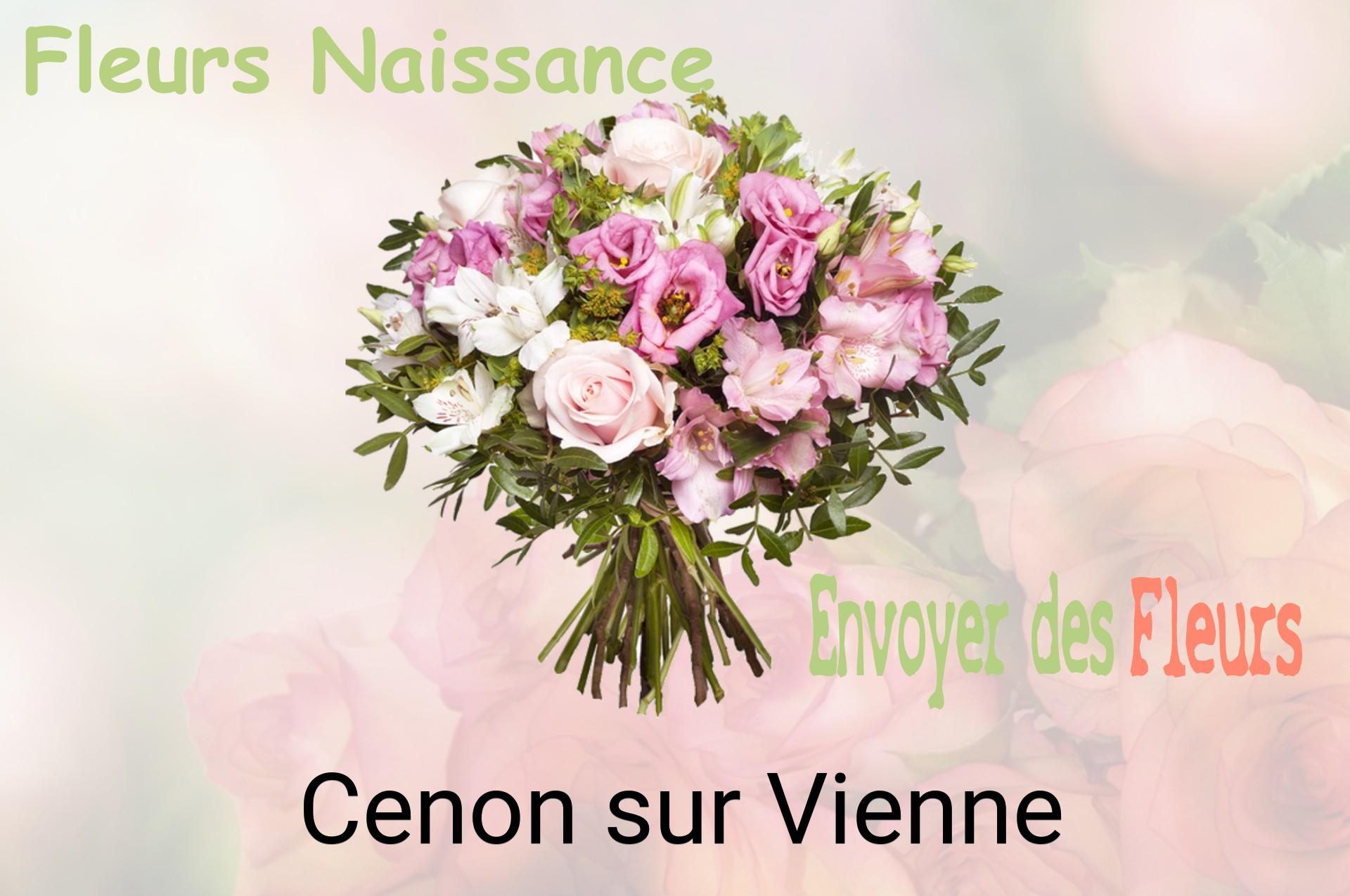 Bouquet de fleurs de naissance livré à Cenon-sur-Vienne