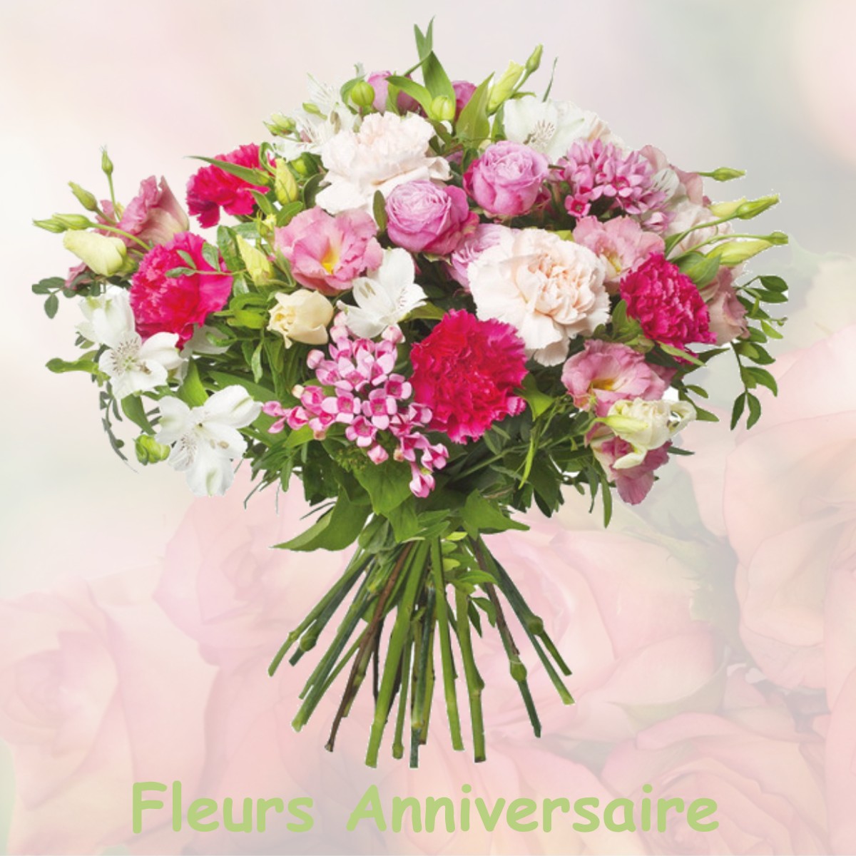 fleurs anniversaire CENON-SUR-VIENNE